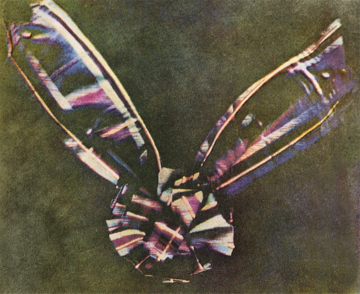 Tartan ribbon, shown by James Clerk Maxwell, 1861