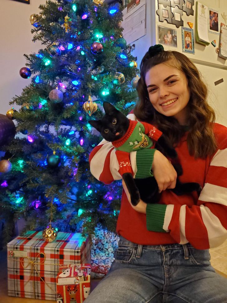 A First Christmas Family Photo That Took a Whole Task Just to Get the Cat Into a Sweater