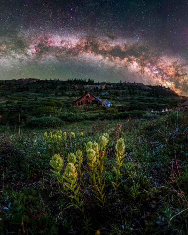 881b845d14948a59396d904670 25 Shots That Became Instant Masterpieces / Bright Side