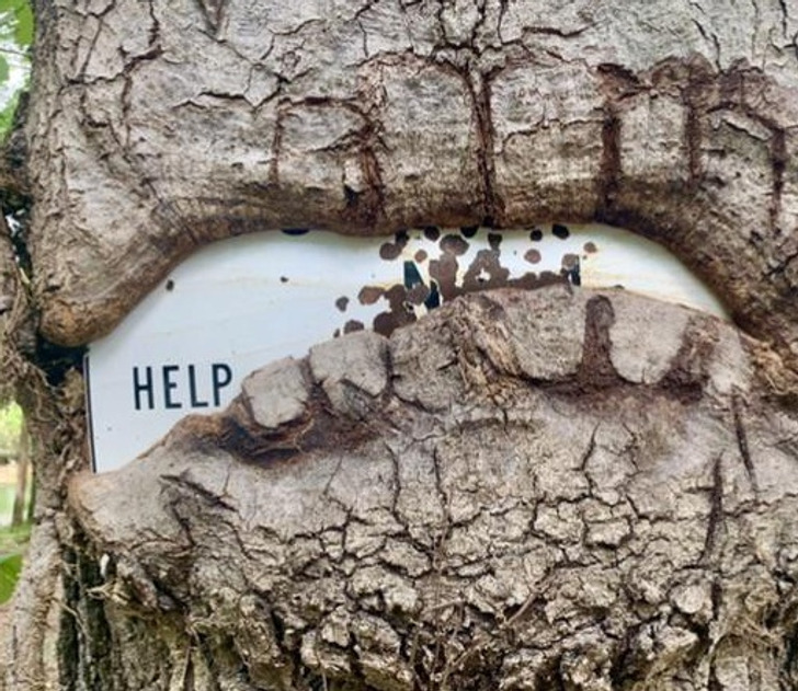 15 People Who Spotted Curious Things That Only a Few of Us Get to See