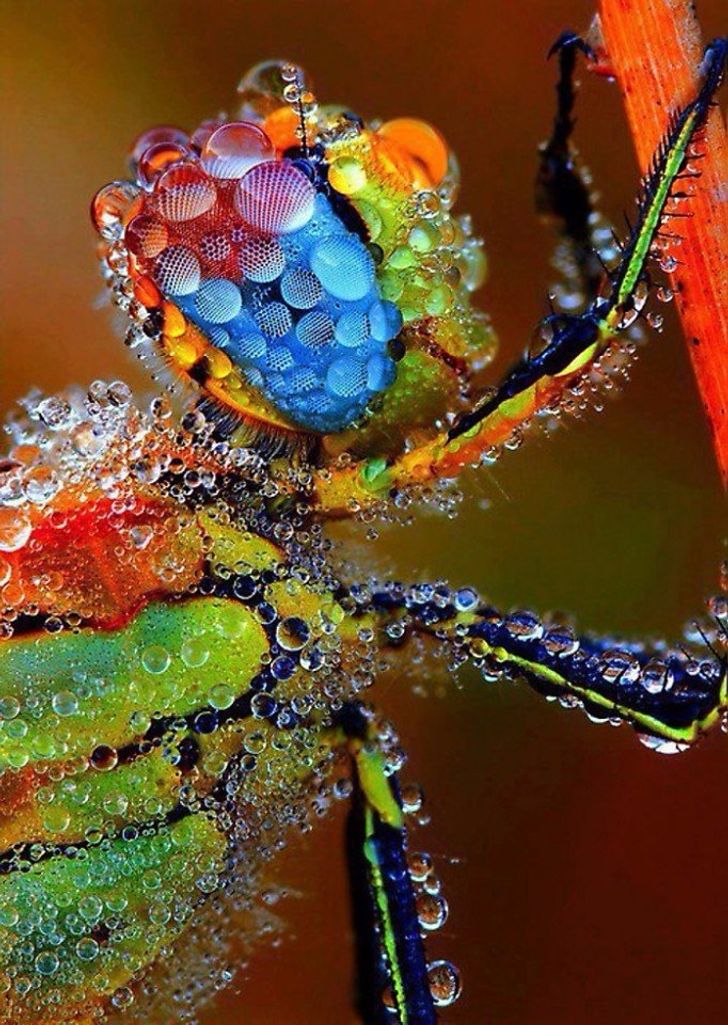 17 Seriously Mind-Blowing Pictures Untouched by Photoshop