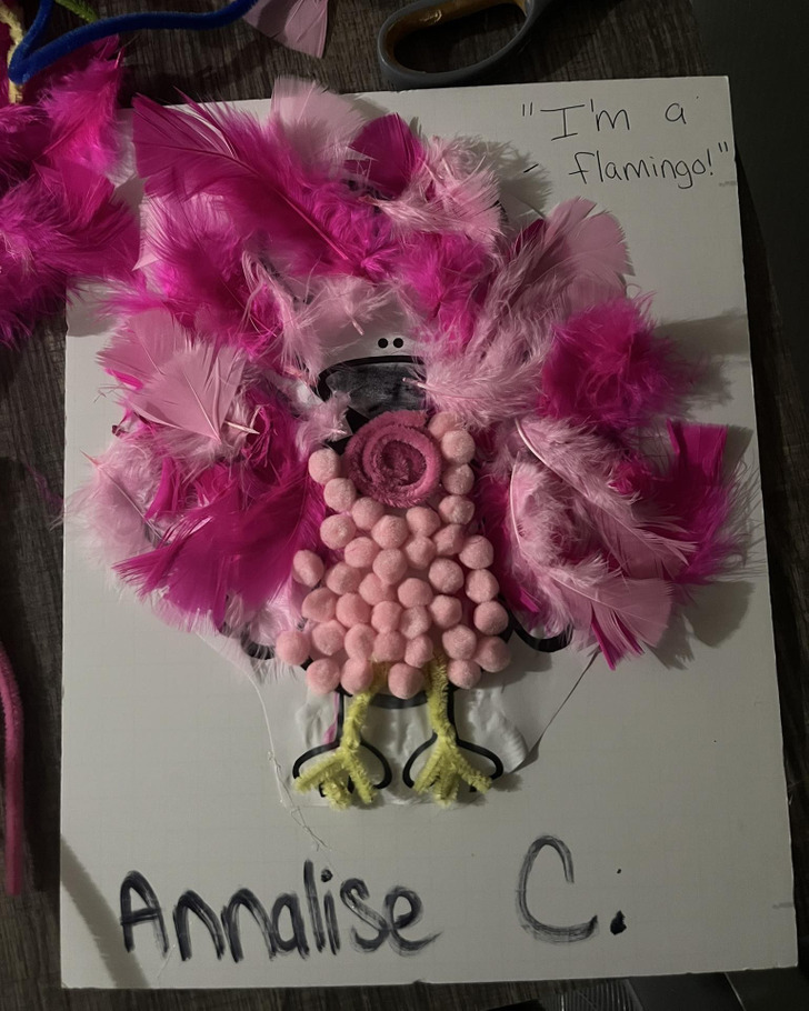 A Pink Feather Turkey That Says It Is a Flamingo, a Parent’s First Turkey Project