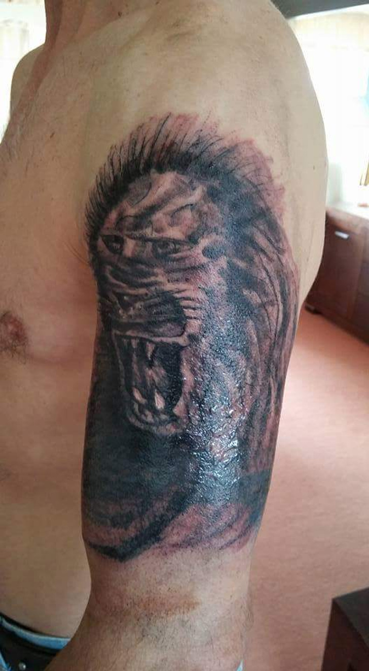 Lines and lions at Bright Side  Bright Side Tattoo Studio  Facebook