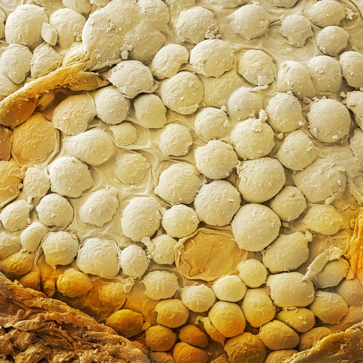 17 Fascinating Photos of Products Under the Microscope Like You’ve Never Seen Them