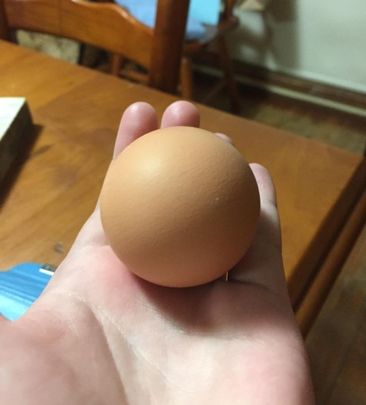 17 Photos That Prove the World Is Still Filled With Amazing Things