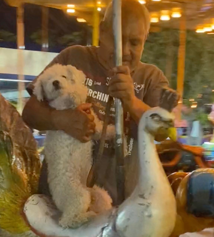 A close-up of a man holding his dog while it rides the carousel.