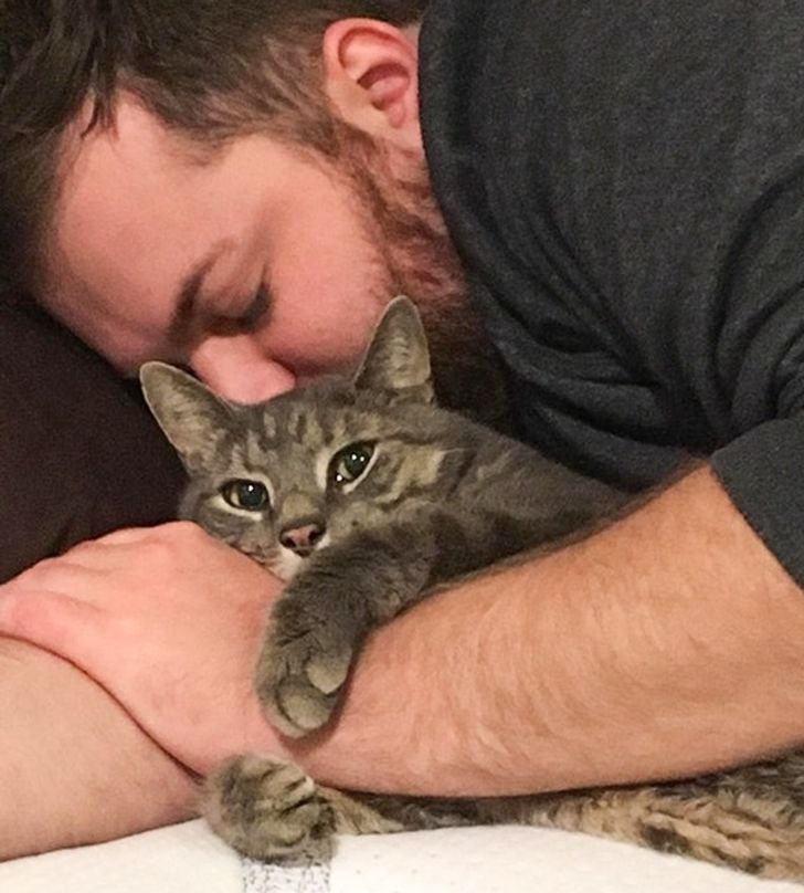 20 Faithful Animals That Can Make Anyone Ponder if We Are Really Worth Their Endless Love