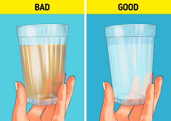 5 Ways to Check the Quality of Your Drinking Water Bright Side