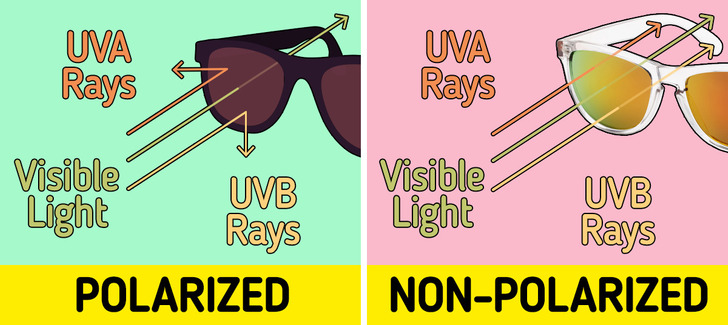 7 Reasons Why You Should Switch to Polarized Sunglasses / Bright Side