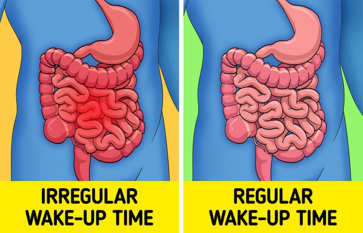 What Might Happen to Your Body If You Wake Up at the Same Time Every Day