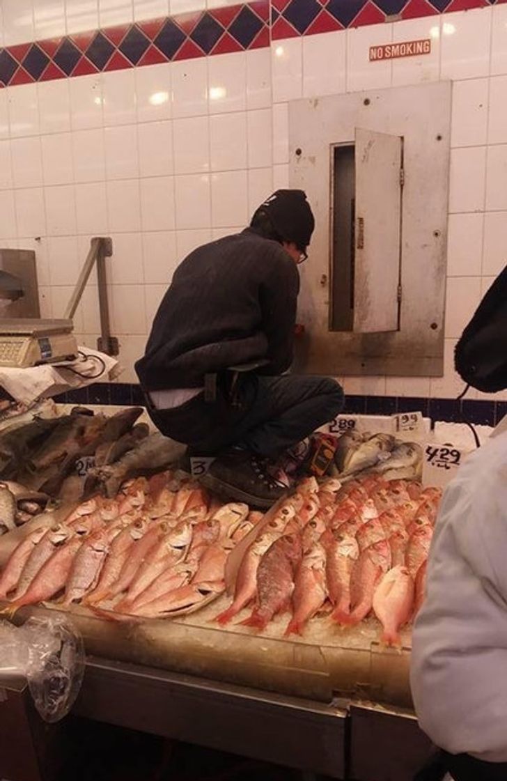 27 Photos of Situations We Couldn’t Explain Even If We Tried