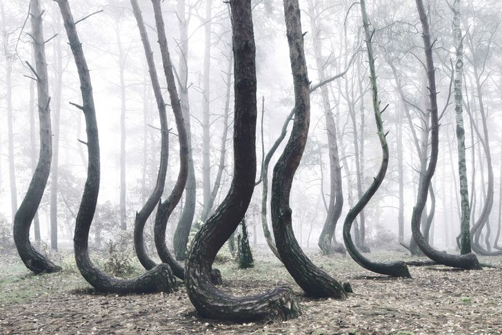 25 photos that prove the world is an utterly wonderful place