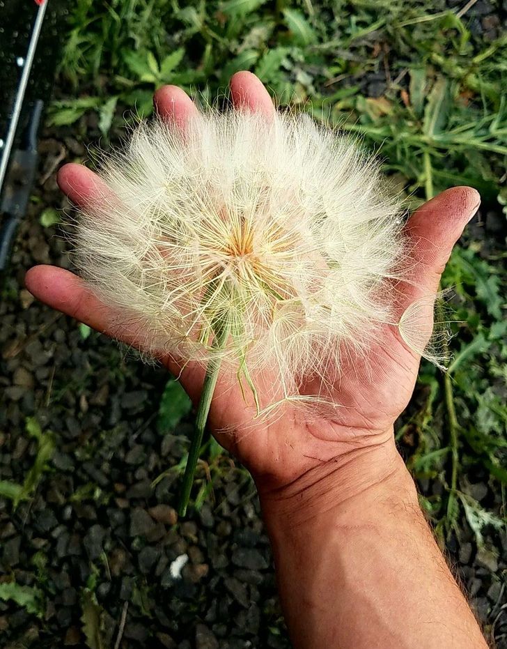 23 Photos That Seem to Have Nothing Special at First Glance. Or, Wait