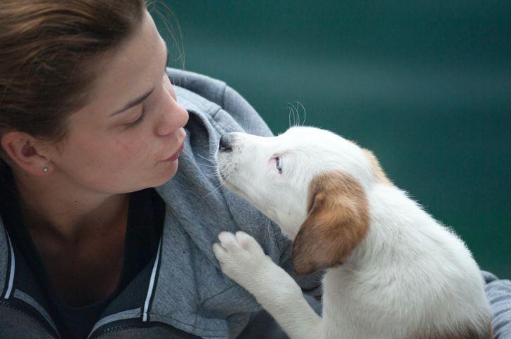 Dogs Have 12 Secret Superpowers: It’s Not Just Love