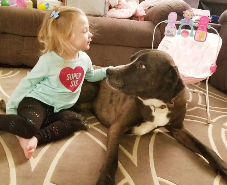 15 Pictures That Show How Patient Animal Love Can Be for Their Young Owners