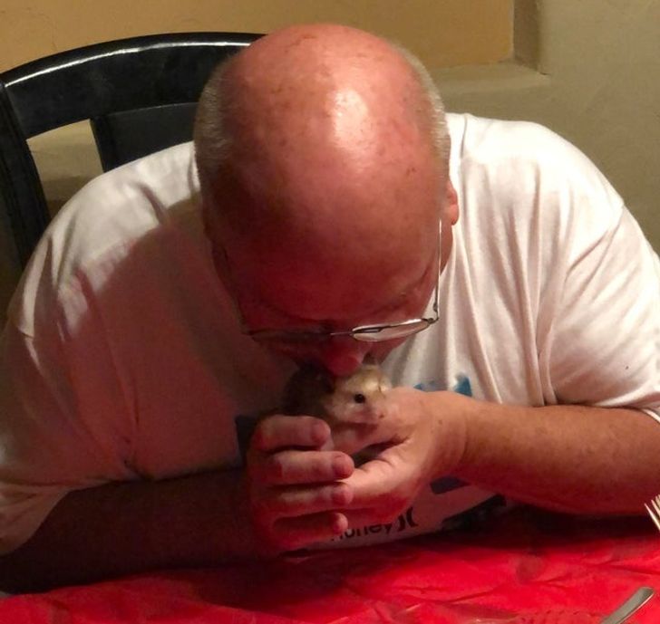 19 Pets That Put a Love Spell on Their Owners