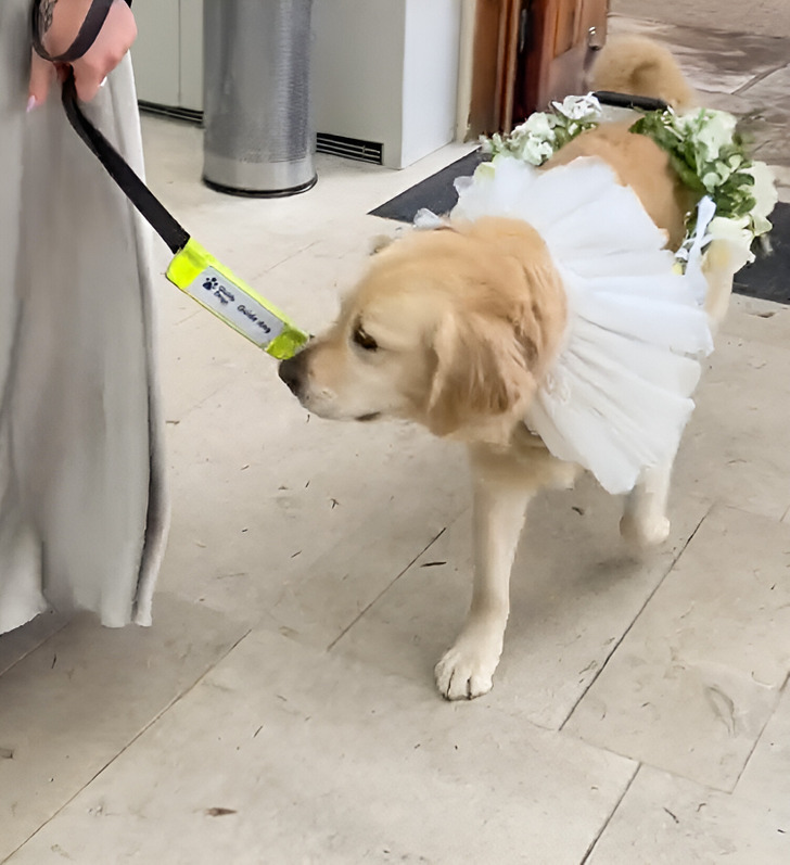 Why this bride had guests wear blindfolds during her ceremony