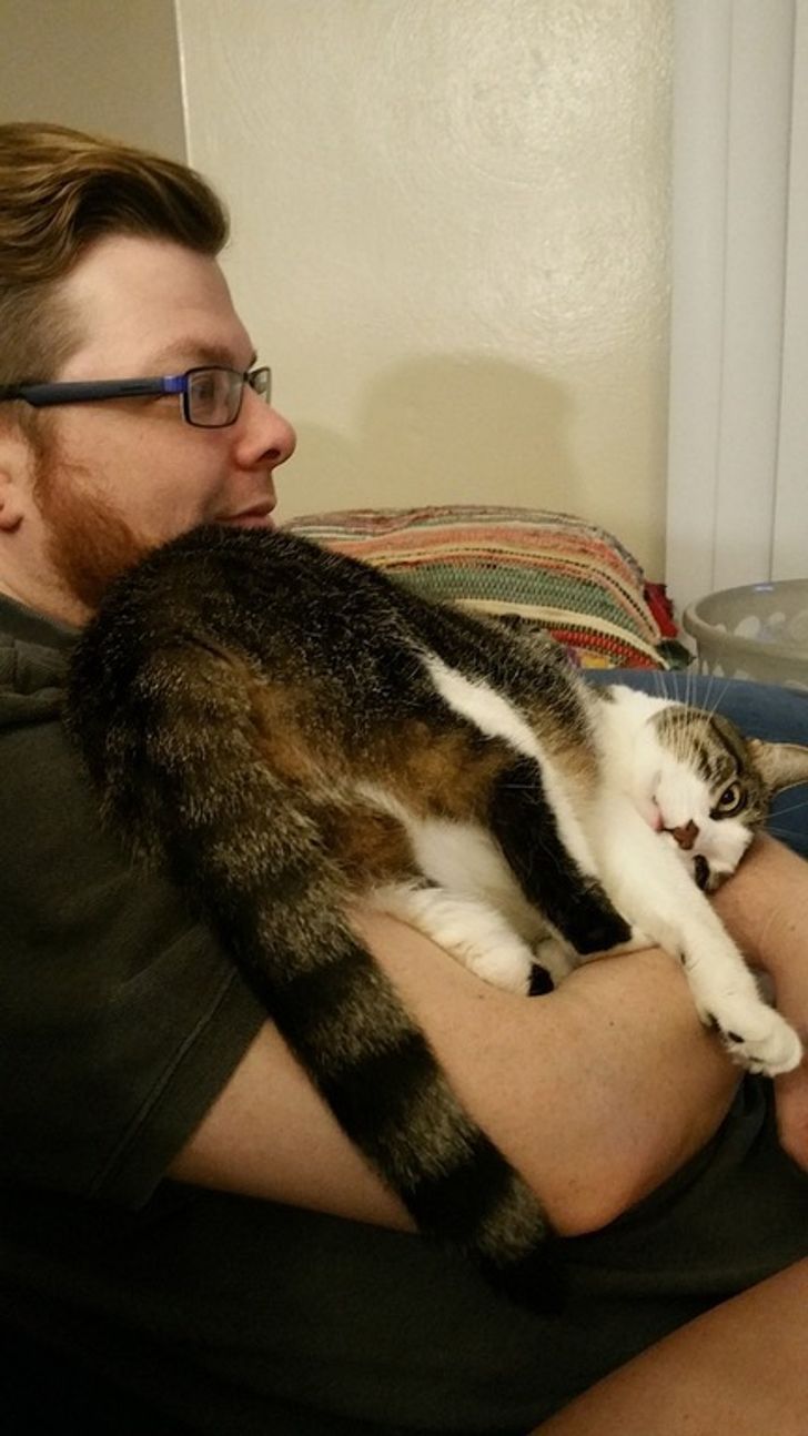17 Cats and Dogs Who Cannot Do Without Their Humans