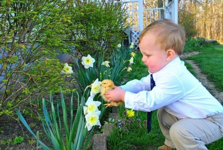 25 Exhilarating Photos That Will Make You Smile When You’re Having a Bad Day
