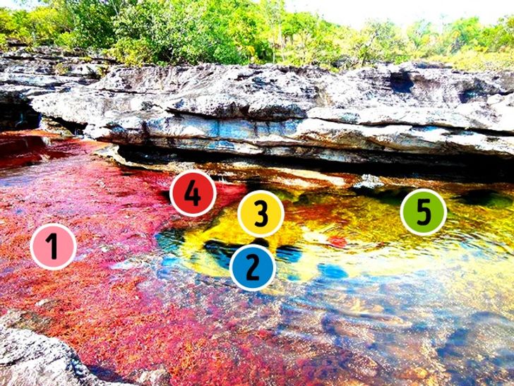 8 Anomalies of Our Planet That Scientists Struggle to Explain