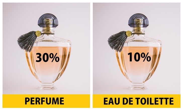 How to Tell the Between Perfume, Cologne, and Eau de Toilette / Bright Side