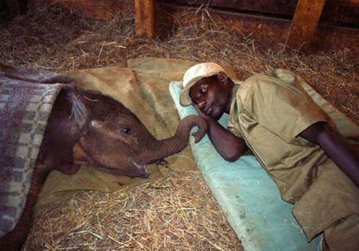 17 Seriously Emotional Photos That Will Melt Your Heart