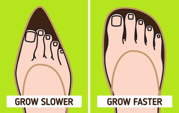 Why Fingernails Grow Faster Than Toenails