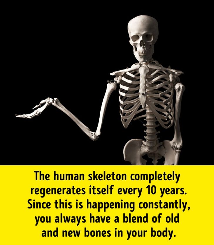 17 Facts About the Human Body That Will Send Chills Down Your Spine