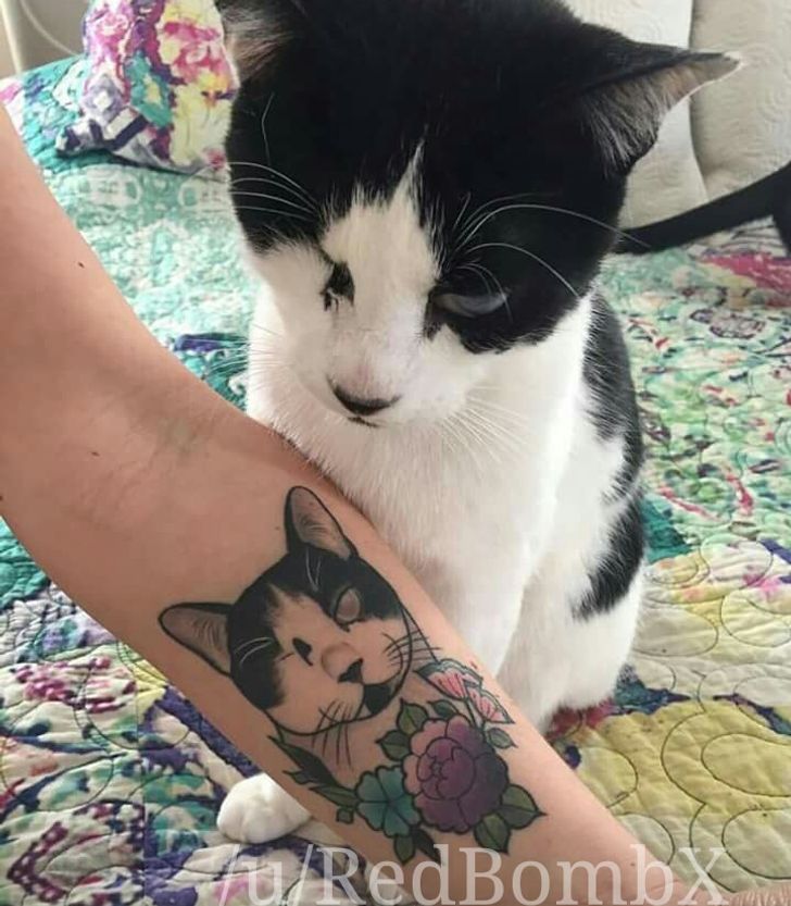26 Cat Tattoos That Can Leave a Paw Print on Your Heart
