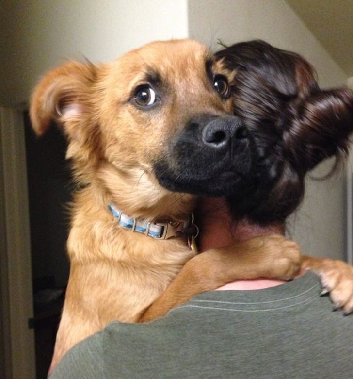 20 Photos Proving Dogs Are a Gift From Heaven
