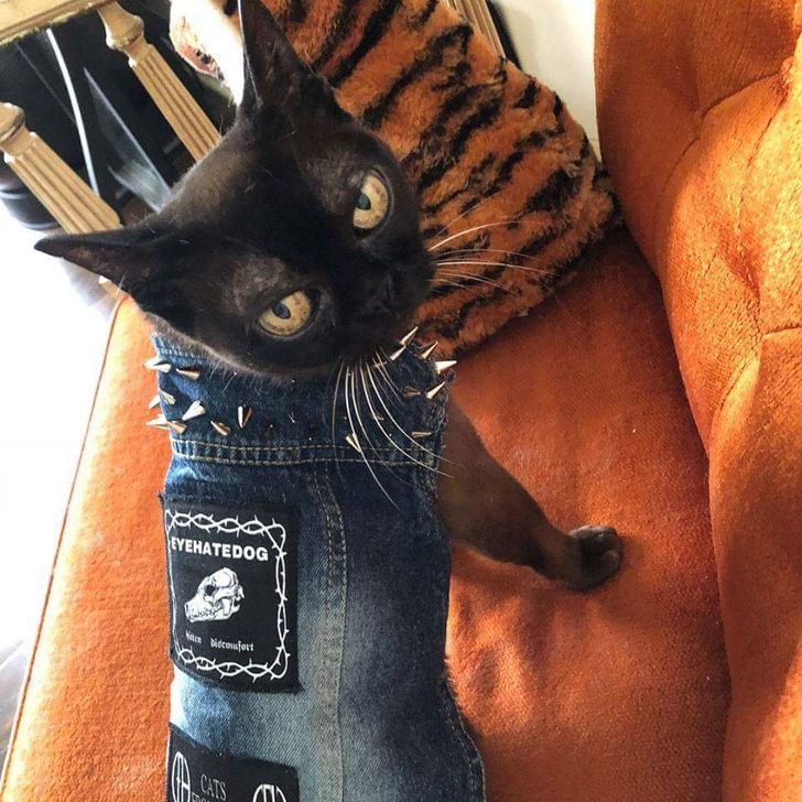 16 Crazy Examples When Fashion Went Out of Control