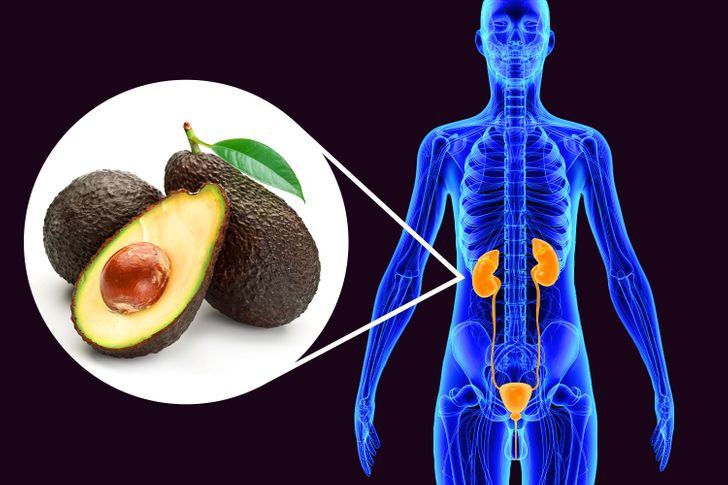 What Can Happen to Your Body If You Start Eating an Avocado a Day for 30 Days