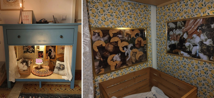 Vivaldi’s Tiny Home Inside a Dresser, With Gift Wrap for Wallpaper