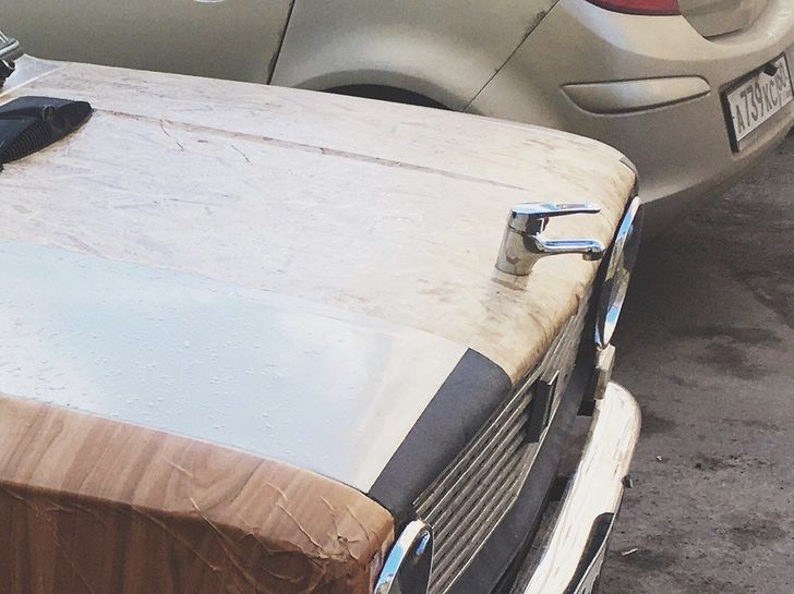 19 Strange Sights That Will Make Anyone Raise an Eyebrow