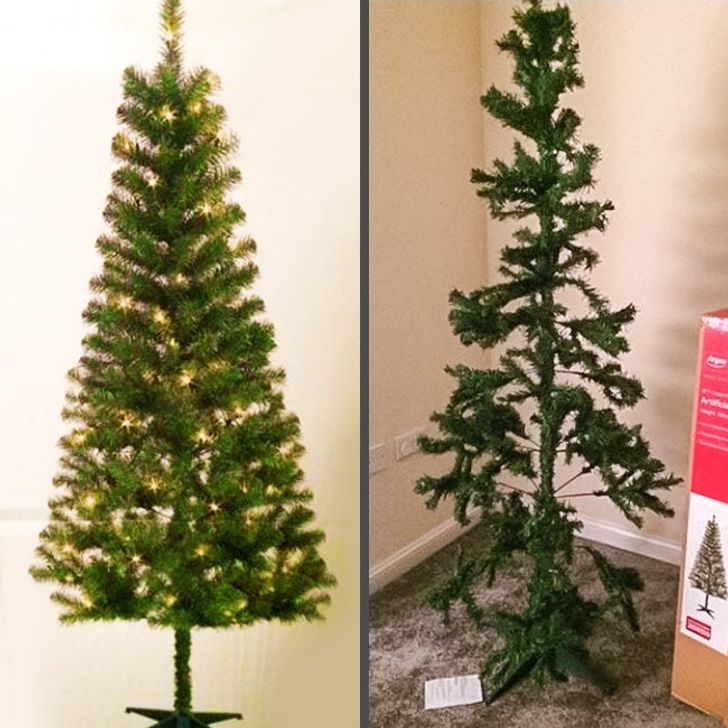 15 Photos That Reveal the Whole Truth About Online Shopping