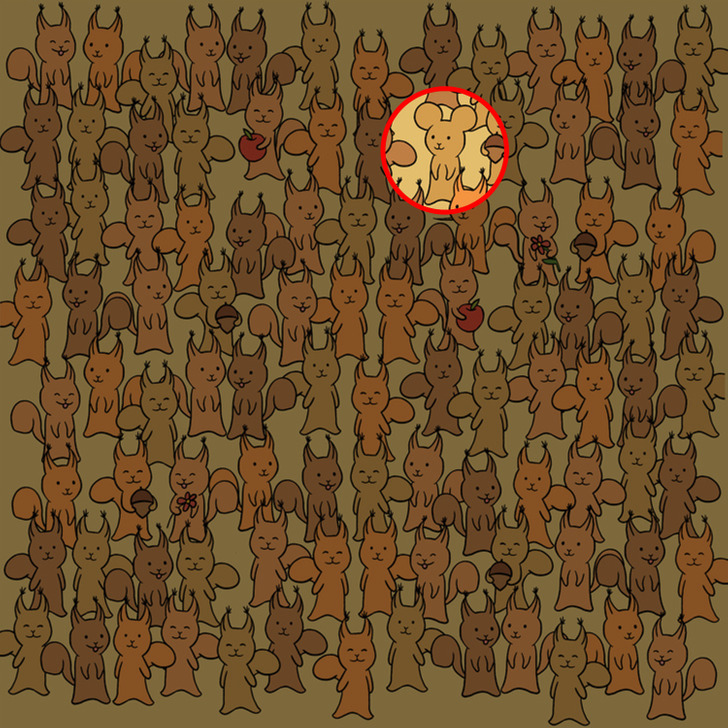 Can You Find the Mouse Hidden Among Squirrels in This Brainteaser?