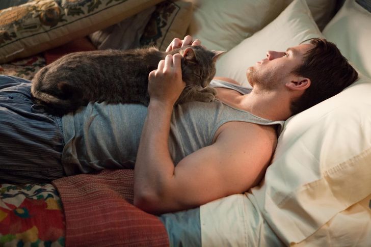 15 handsome men with their kittens