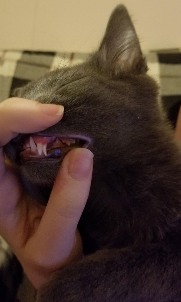 17 Photographs Anyone Should See at Least Once
