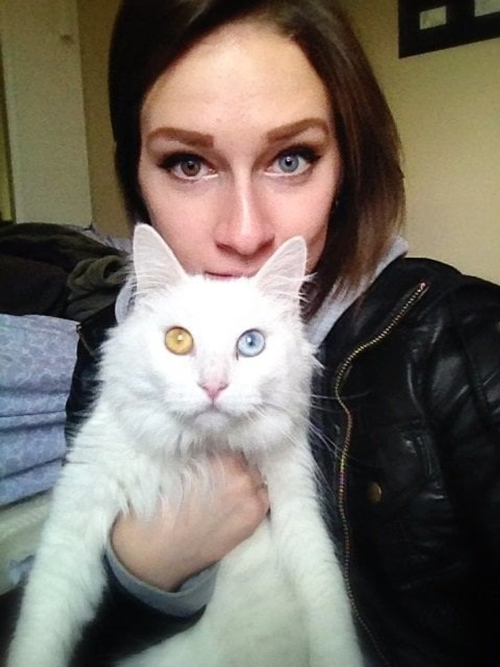 752f6d56dc92292ba22ddadcdd 20+ Photos That Prove Owners and Their Pets Are Hilariously Alike / Bright Side