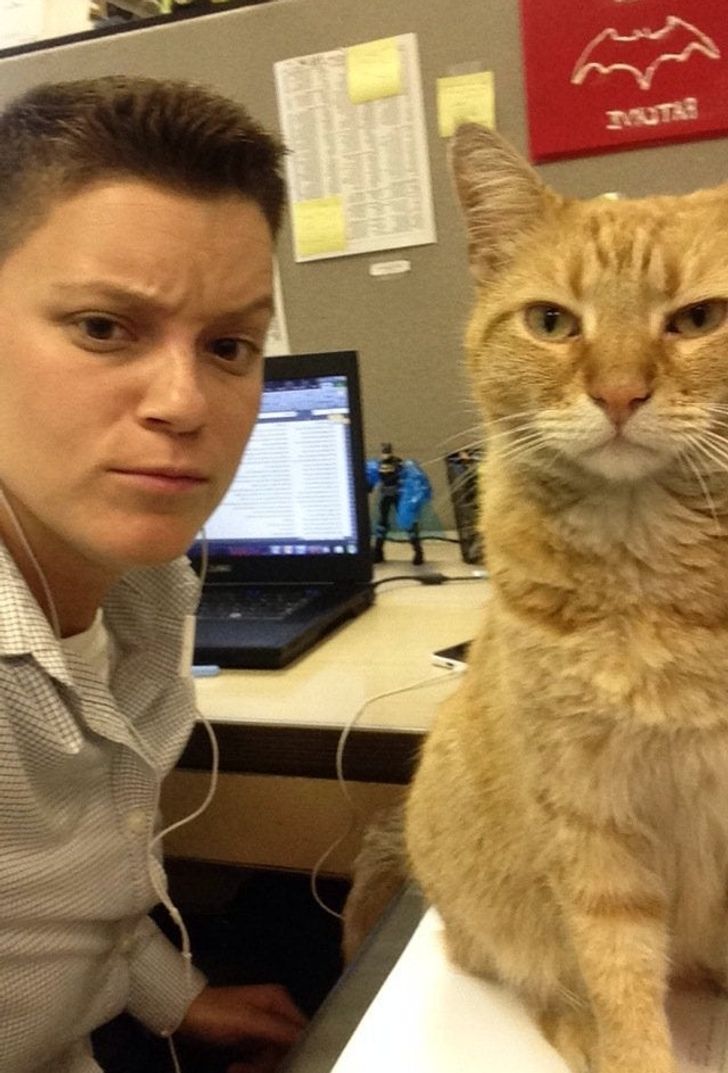 19 Animals that Steal All the Thunder in Their Selfies
