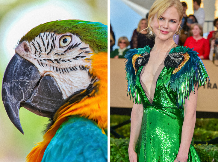 15 Celebrities Featuring Animal-Inspired Outfits to Prove Nature Is the Best Source of Inspiration