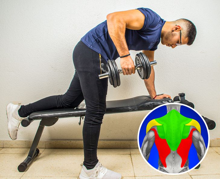 Back building exercises hot sale