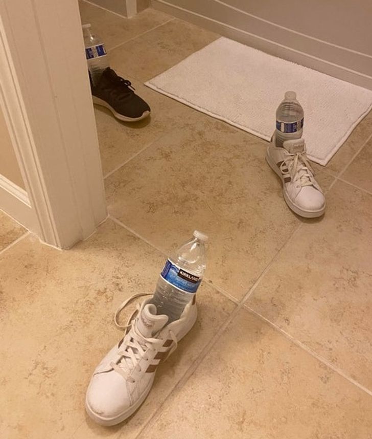 16 Kids Who Are Hilarious Without Even Knowing It