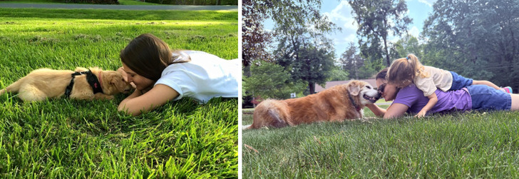 A Dog Who Was There for Graduation, a Wedding and a First Baby