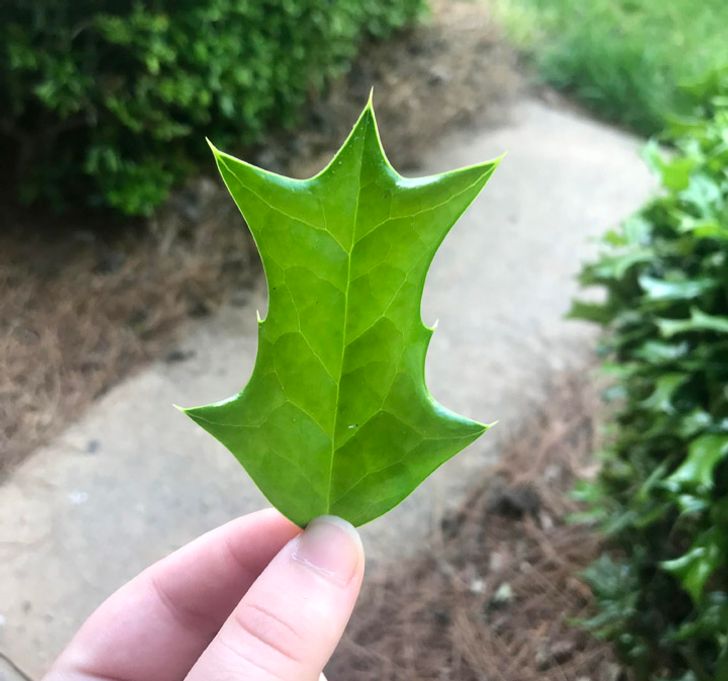 25 Unexpected Finds That Raise Too Many Questions
