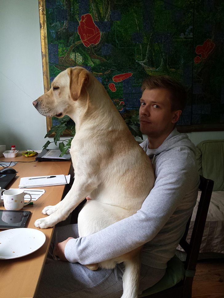 17 Cats and Dogs Who Cannot Do Without Their Humans
