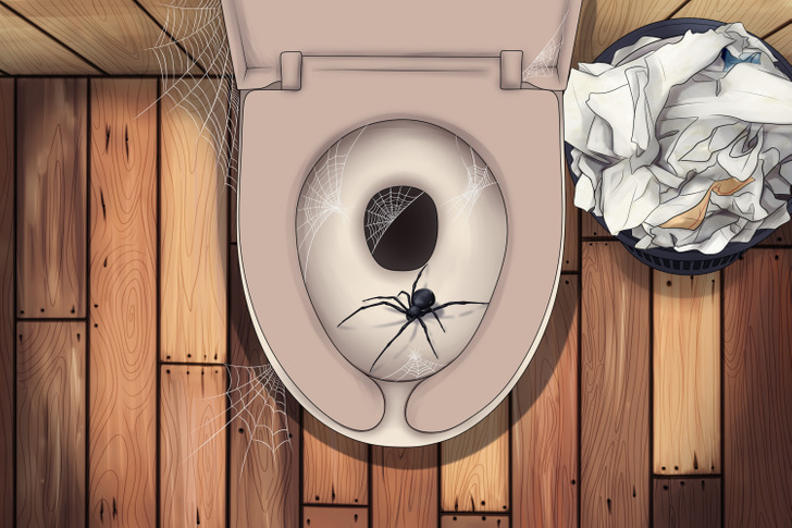 5 Creatures That Can Crawl In Through Your Toilet and How to Stop Them