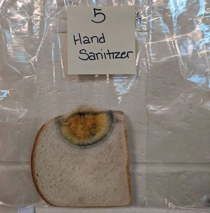 A Teacher Did an Experiment to Show the Power of Handwashing, and You Can’t Stay Unimpressed