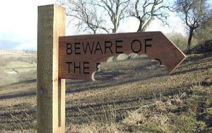 15+ Funny “Beware of the Dog” Signs and the Very Dangerous Dogs Behind Them