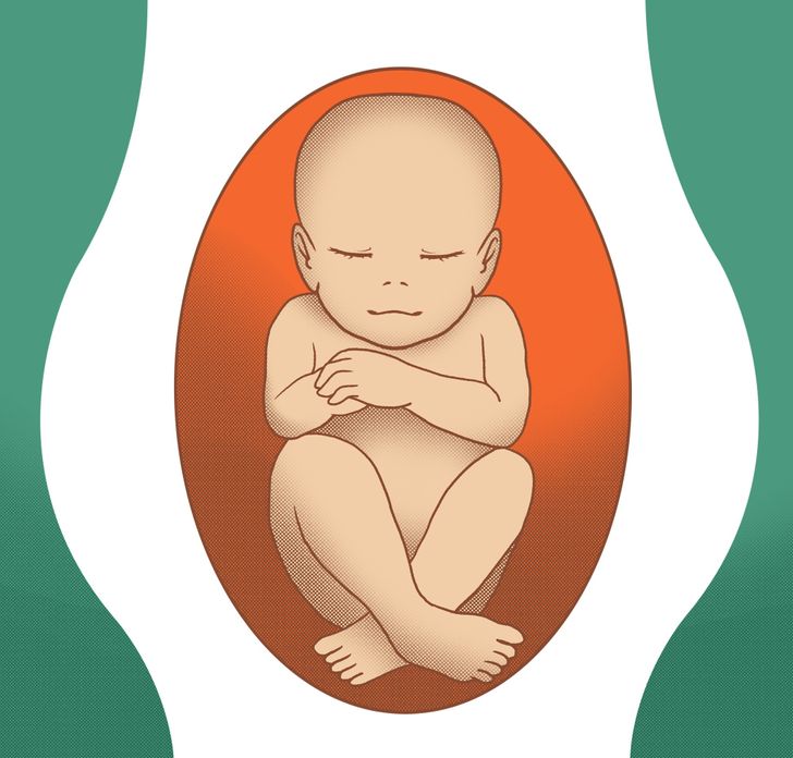 What Different Baby Positions Mean During Pregnancy